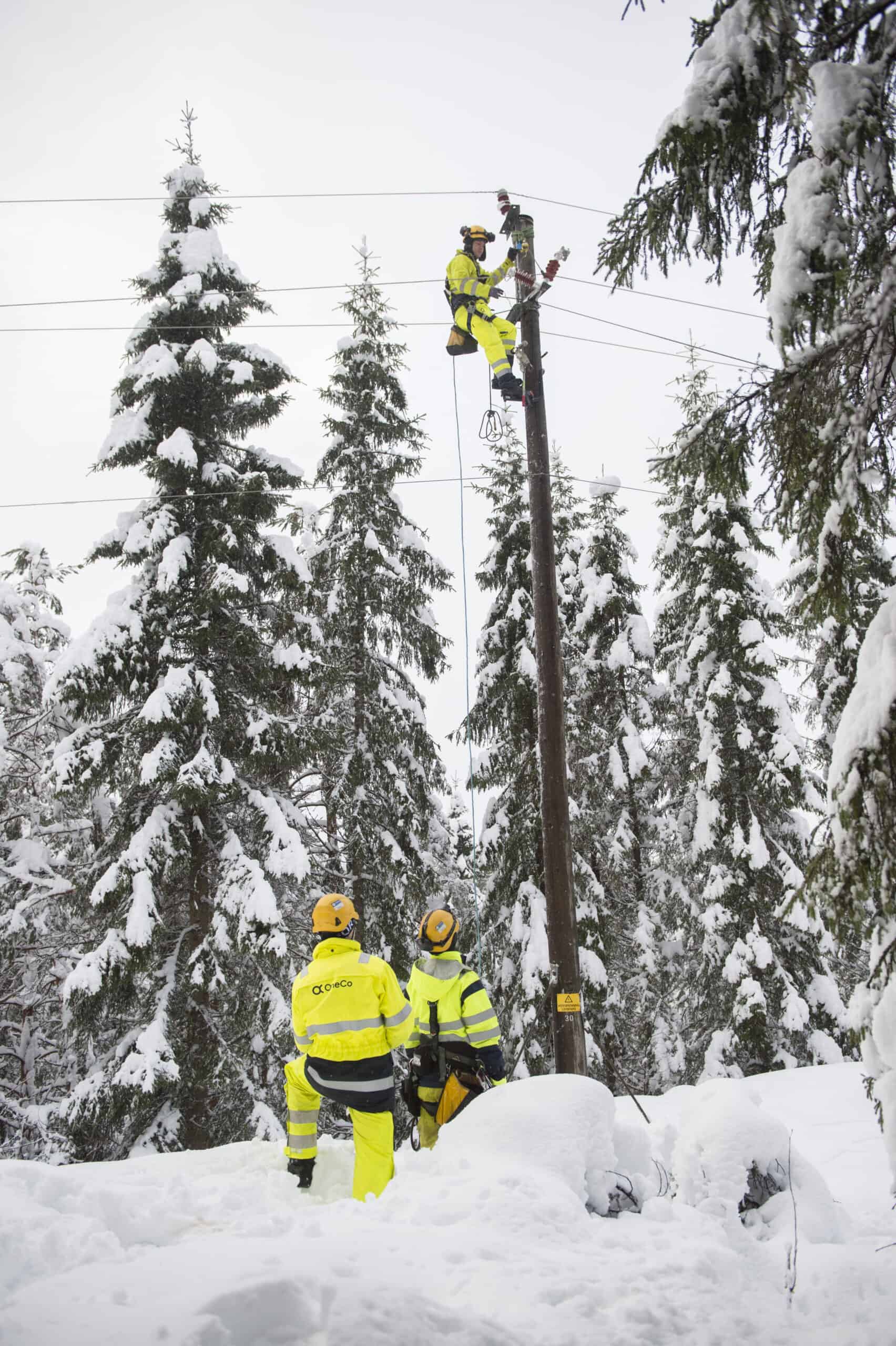 6007_OneCo_Nedsnodd_0115