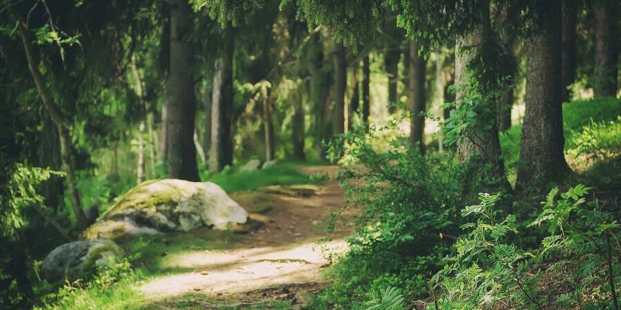 shutterstock_369297158